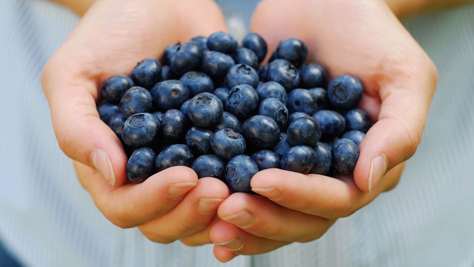DansDailyDish's tweet image. Boost your brainpower with these 10 foods. (#10 might surprise you!) #brainbites #brainfood ow.ly/XTym30jqZdR