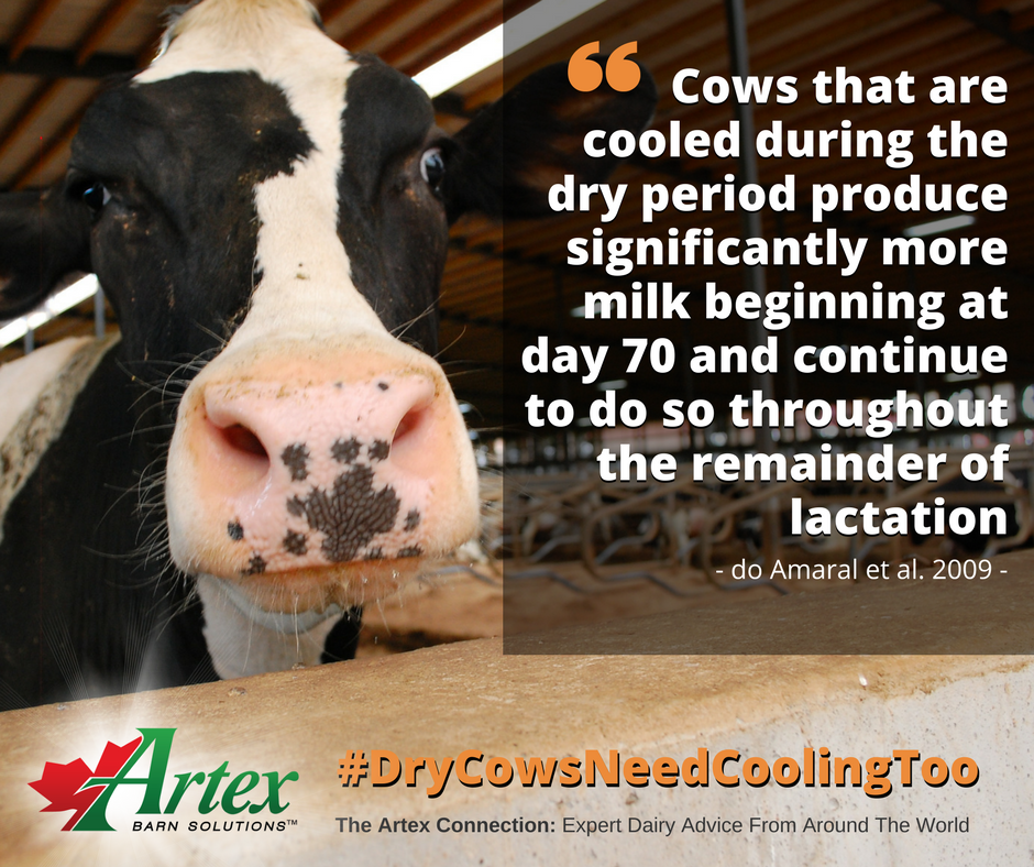 Cow cooling is a critical factor in the productivity of your farm. It seems like most farms have cow cooling strategies set up for their lactating cows, but most don't cool dry cows. 

This month we're focusing on the importance of cooling your dry cows. 

 #DryCowsNeedCoolingToo