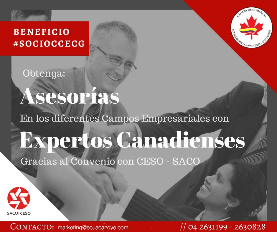 CamaraCanadiens's tweet photo. Obtenga consultorías en los diferentes campos empresariales con expertos canadienses, gracias al acuerdo con la Organización CESO /SACO - Canadá. Beneficio exclusivo sólo para #SOCIOSCCECG.
Contáctenos: marketing@ecuacangye.com // 04 2631199 - 2630828 https://t.co/sjRAR4cyfr