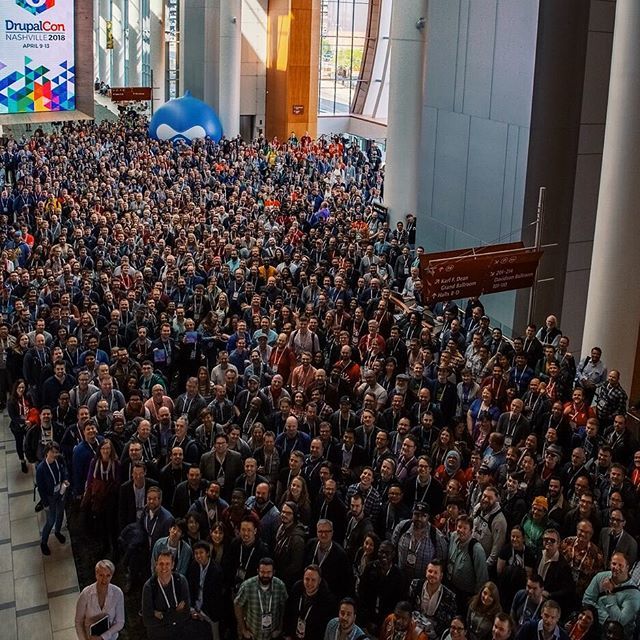 red__cat's tweet image. This is fiasco, bro 😂😂🙈@drupalconna #drupalcon #adcisolutions #drupal ift.tt/2qtZWMr