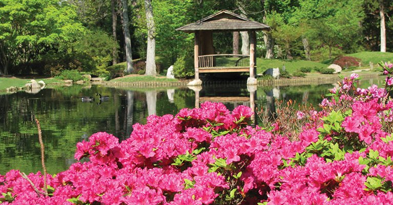 Maymont's tweet photo. Learn about early flowering plants and catch #Maymont's blooms in action during our Early Spring Garden Tour next week! https://t.co/tLAcZXxyWq #springinrva #rvagardentrail https://t.co/zmPZLXldXn