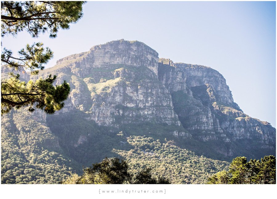 Mountains views from The Alphen Boutique Hotel by @lindytruterphotography

#kovecollection #thealphen #constantiavalley #heritage #heritagesite #historicaltour 
<a href="/constantia1685/">Constantia Valley</a> 
alphen.co.za