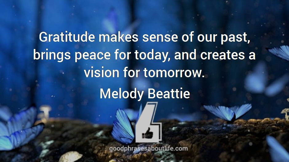 phrasex01's tweet photo. Gratitude makes sense of our past, brings peace for today, and creates a vision for tomorrow. https://t.co/ejjCIMCE4V #motivationalquotes #moments #memories #love #life #today https://t.co/qrDIPZI1Sg