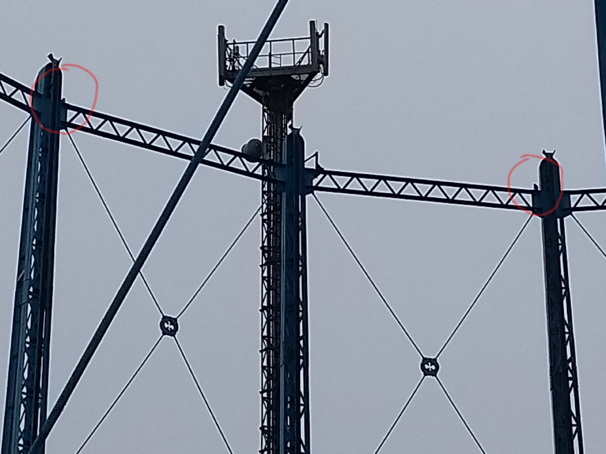 Peregrine falcons (a protected species) have been spotted on top of one of the Bell Green gas holders! Dear SGN, please don't disturb them!