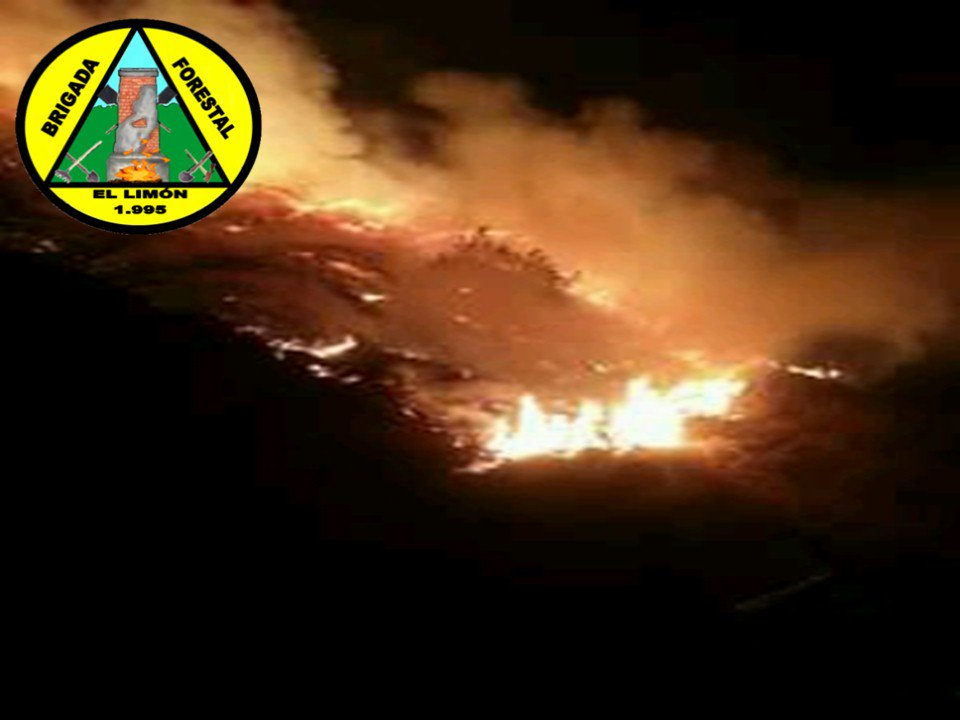 Forestales_13's tweet photo. .@Forestales_13 #Combate de Incendio Forestal Fila Piedra Grande Sector La Candelaria P.N. Henri Pittier .@VGRPC .@PC_Aragua .@RVAraguayan .@RosauraNavasR .@direc_pcaragua .@randy2re .@PCivil_Ve .@Brullerby_Suare .@gestioninparqu3 .@bforestalesinp .@Minea_Aragua #MBI #Abril2018 https://t.co/QNctFUsWXb
