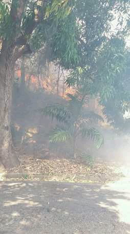Forestales_13's tweet photo. .@Forestales_13 .@tragahumossar .@pcmbi .@PC_Aragua #Combate de Incendio Forestal Fila Valle Verde P.N. Henri Pittier #MBI .@VGRPC .@PCivil_Ve .@bforestalesinp .@RVAraguayan .@direc_pcaragua .@RosauraNavasR .@randy2re .@Minea_Aragua .@gestioninparqu3 .@MineaOficial #Abril2018 https://t.co/edkiDKlN88
