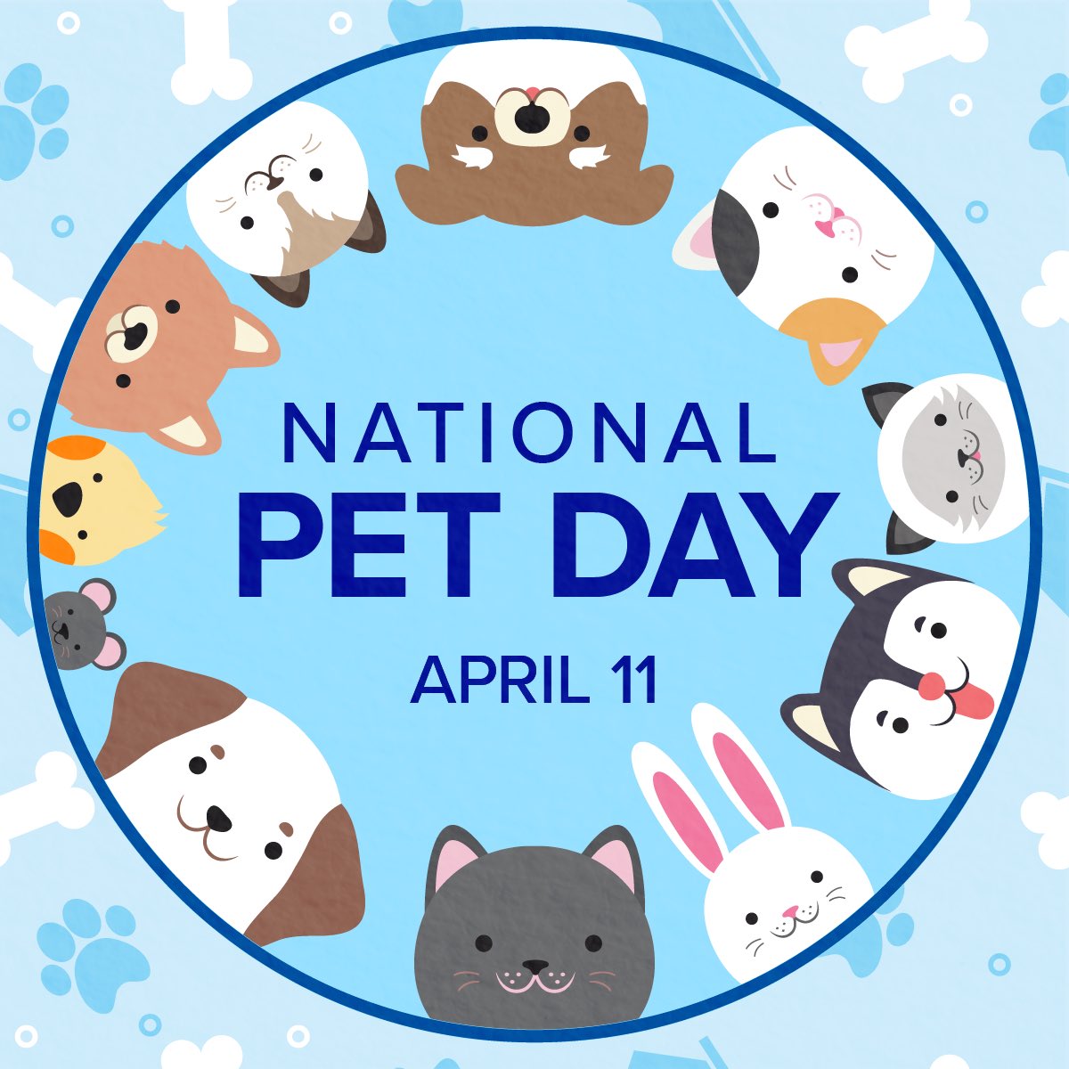 maggieKTVB7's tweet photo. Itโs National Pet Day! Guess what? We want to see your fur babies. Post your photos or videos using the hashtag #7Pets. You may just see your pet on TV! @KTVB https://t.co/1DtjCYWhVB