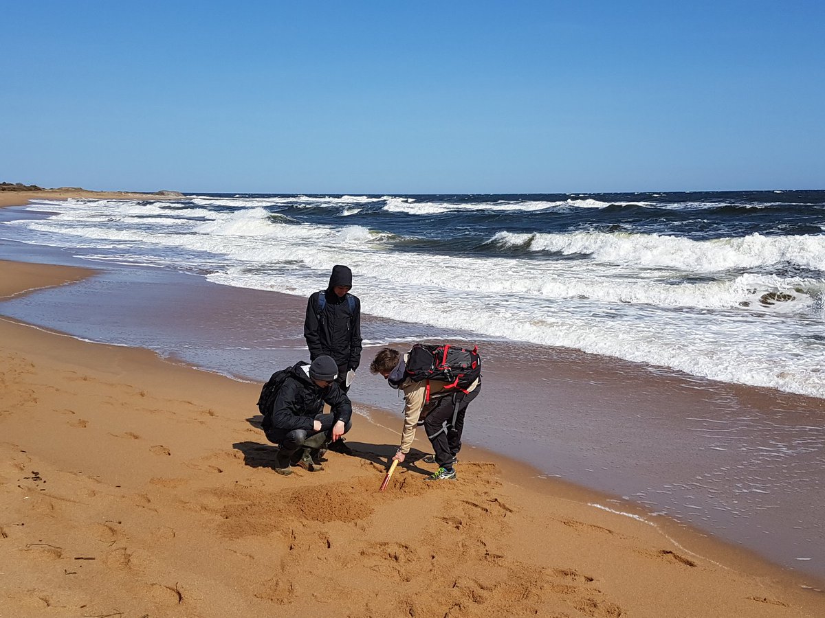 mikaelcalner's tweet photo. Studenter från Geologiska institutionen studerar strandprocesser utanför #simrishamn Då är det bra att det blåser! @Lundsuni @Natursidan https://t.co/NZTAjnsra6