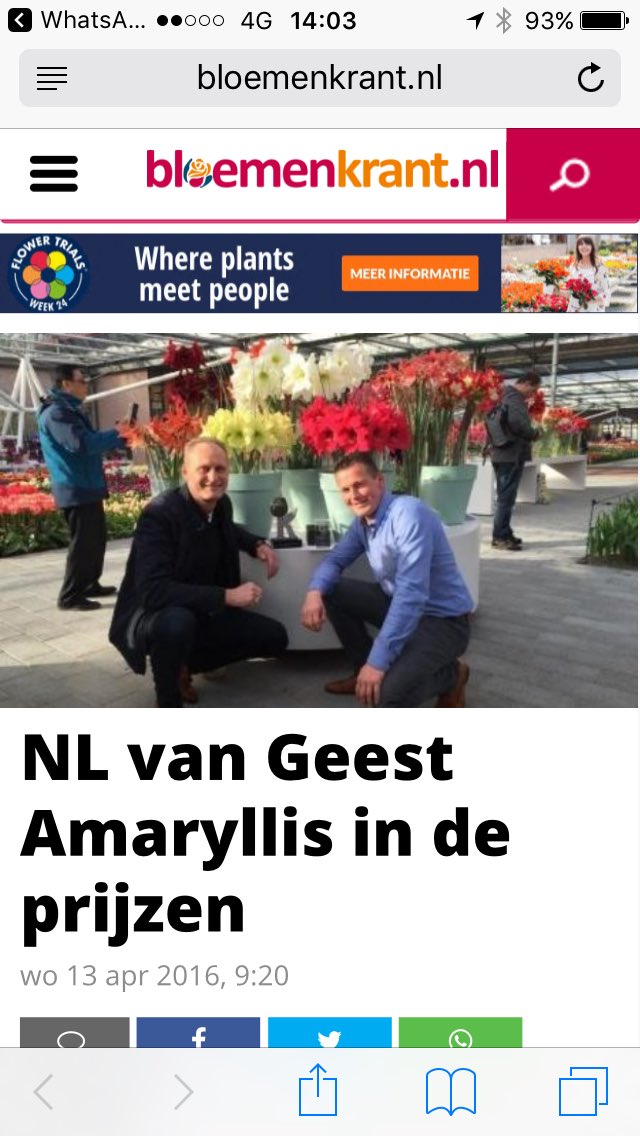 Robert Solleveld tweet media