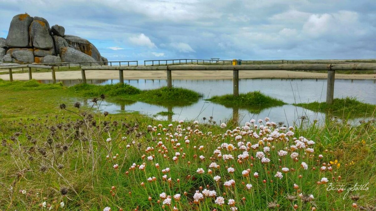 Petiscosgalegos's tweet photo. A veces un simple charco embellece el todavía más un paisaje espectacular !! Ahora en #OGrove #SanVicenteDoMar @Turismo_Grove @granhotelatoja @PuenteDeLaToja @Galicia_Mola @SecretGalicia @zangoyzanga @Caminanteplanet @VisitOSalnes @turisriasbaixas @Turgalicia @GastroyPolitica https://t.co/Slyd2BEITP