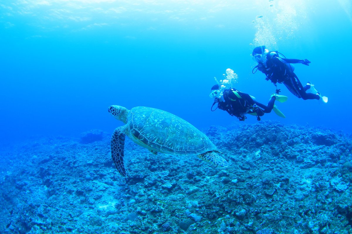 sd_bt's tweet photo. ユースケ、タカシ、久米島でダイビング♪

#超特急
#月刊DIVER
#久米島 https://t.co/5Q8cJOocJA