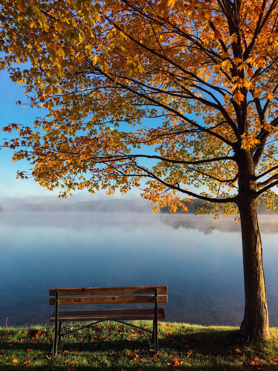 #outdoors #outdoorfun #nature #naturelovers #lake #lakeside #sit #silent #Relaxed #goodweather #tree #sunnyday #walking #enjoythenature #bluesky #bluewater #intouchwithnature