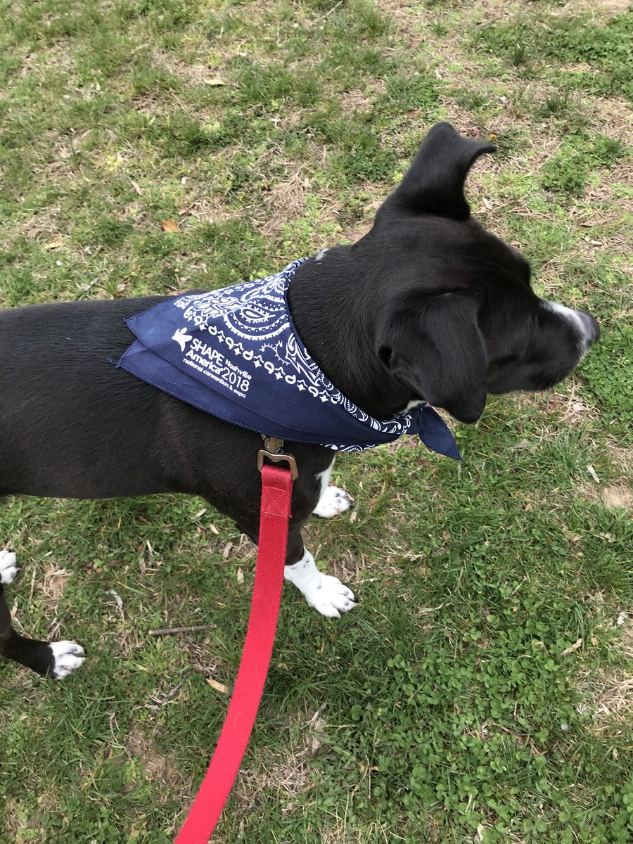 SHAPEAmericaCEO's tweet image. Happy National Pet Day! #GetOutAndRun @SHAPE_America