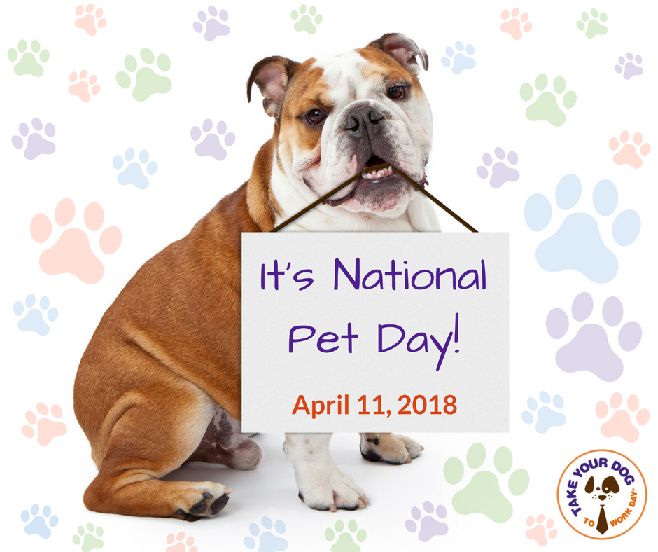 takeyourdog's tweet image. Happy #NationalPetDay! Reply to share a photo of your #pet.
