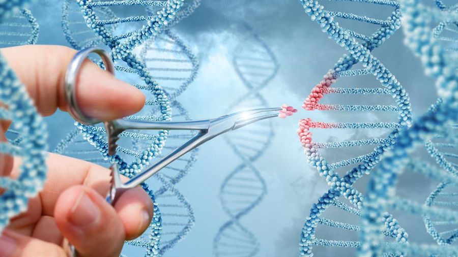 Hallan una terapia fénica que restablece los niveles normales de glucosa en pacientes con diabetes tipo 1 buff.ly/2GPJpxg