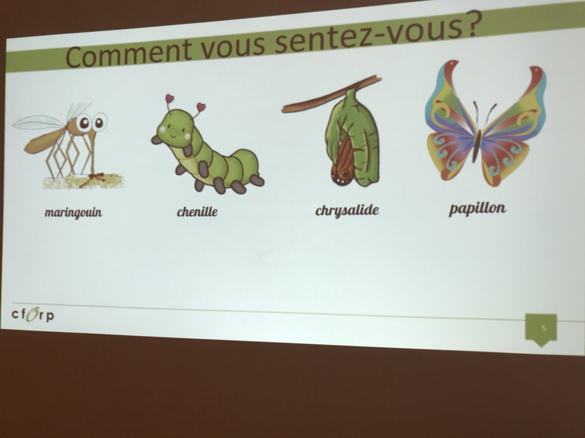 francommecaro's tweet photo. Une journée d’enquête avec les équipes de CSPNE - on pique la curiosité et on déploie nos ailes de papillon! @CSPNE #CSPNEped @plutinop @castojosee #AIM @francommecaro @CFORP https://t.co/Et0Z6zKFgN