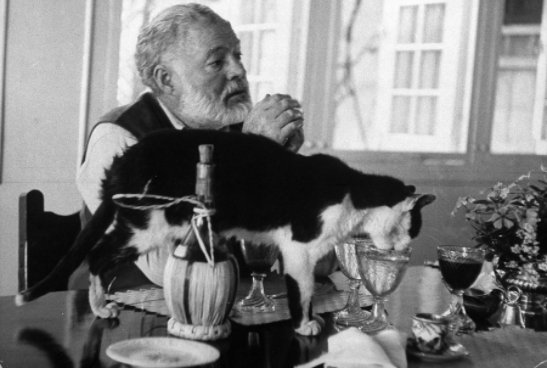 Joy Marie Clarkson ☀️ on X: "And finally, Ernest Hemingway with one of his many cats, probably a descendent of his six-toed cat Snow White. Happy #NationalPetDay everyone! 🐱🐶 https://t.co/MnwpVGOhgv" / X