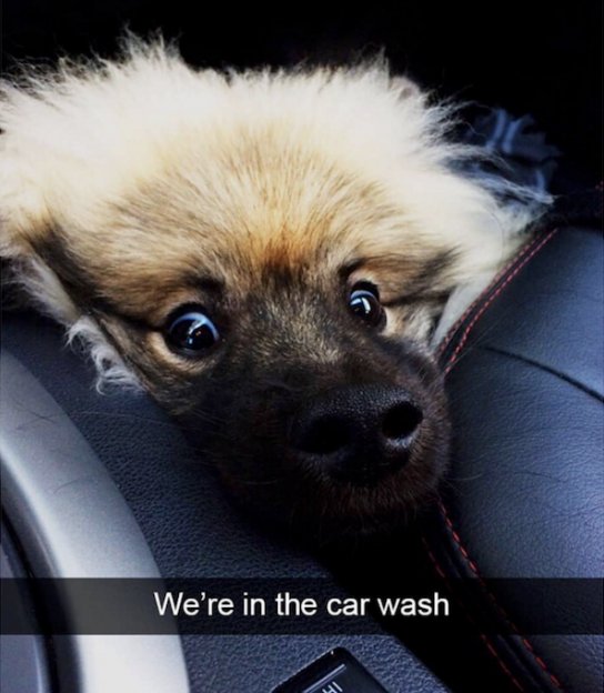 DagUCIeVAAASKaA.jpg:large