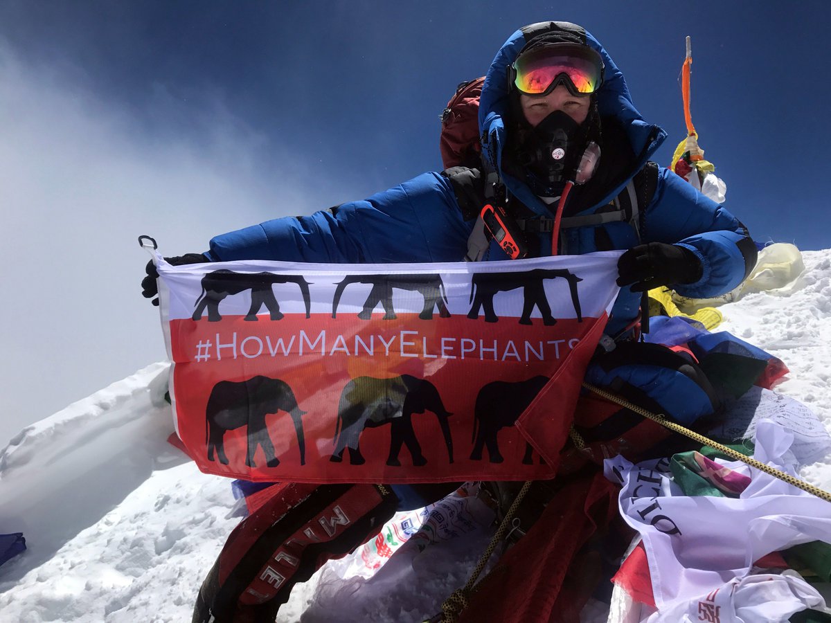 World’s largest elephant record! Adventurer and conservationist Holly Budge is going for her third Guinness World Record as she attempts to make the world's largest papier mache elephant. Find out more bit.ly/2qnq3Fl #howmanyelephants #guinnessworldrecord #adventurer