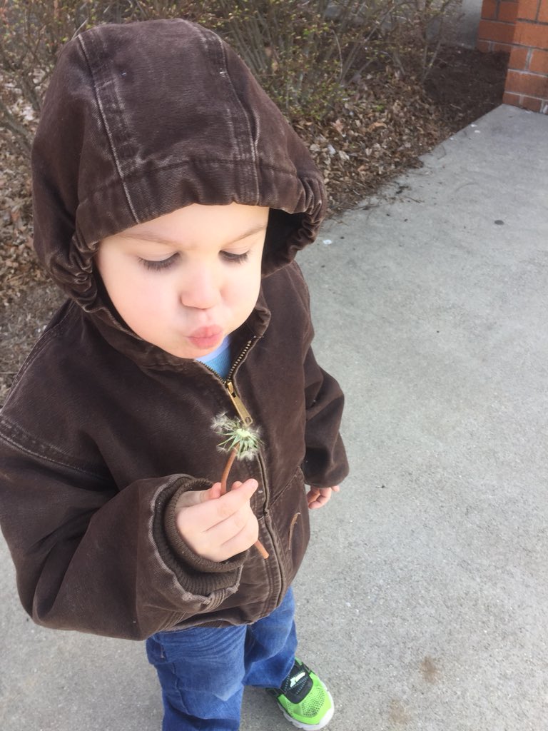 LESPreK's tweet photo. Nature walk #GARRARDshines https://t.co/bL5nzzxO20