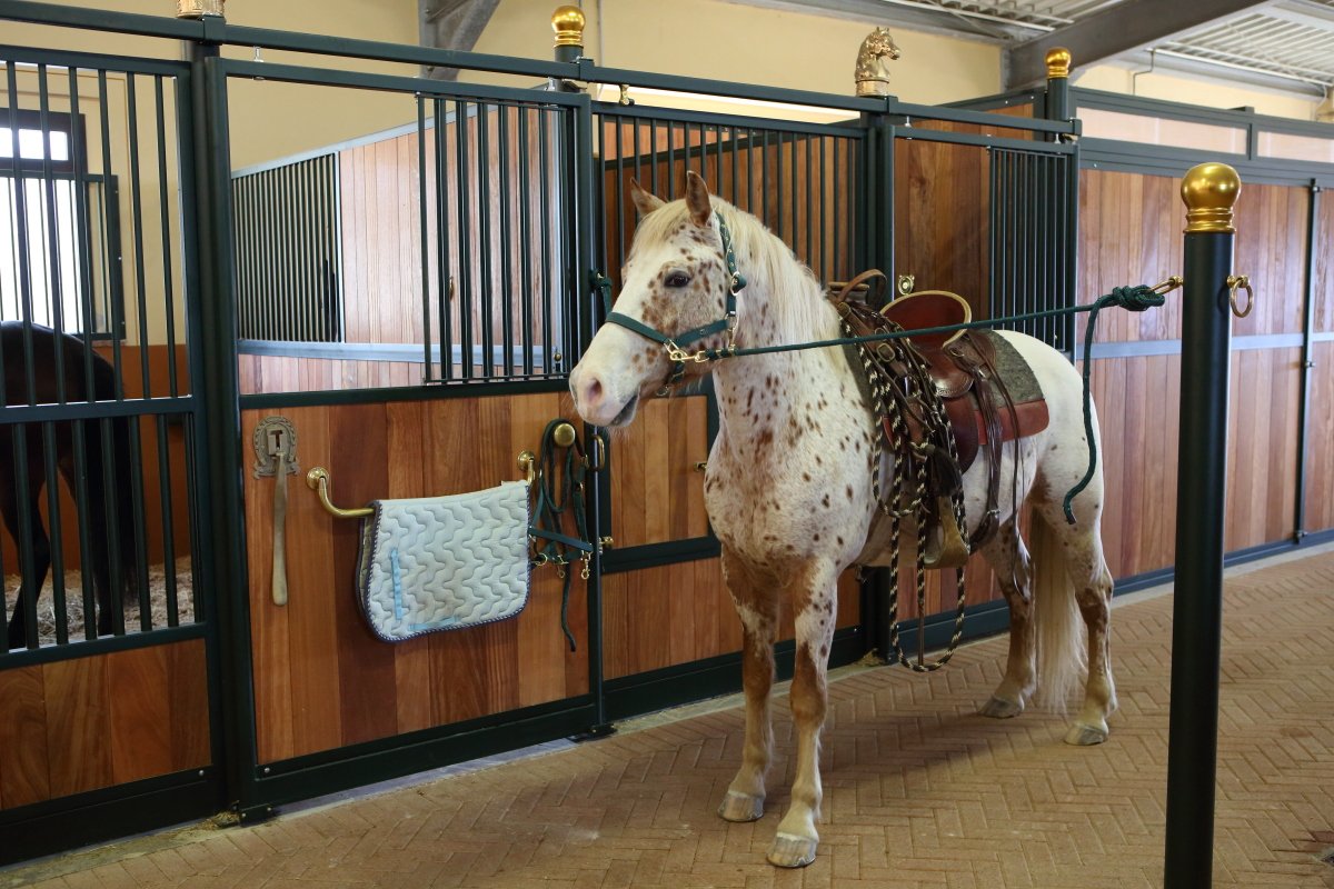 #super!!!

tuscanyequestrian.com 
#Tuscany #Siena #Resorts