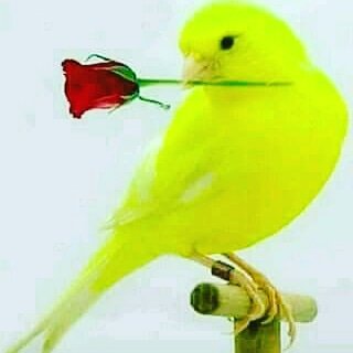 aysel81687562's tweet photo. samsun yolunda https://t.co/8B6Dtg9xoO