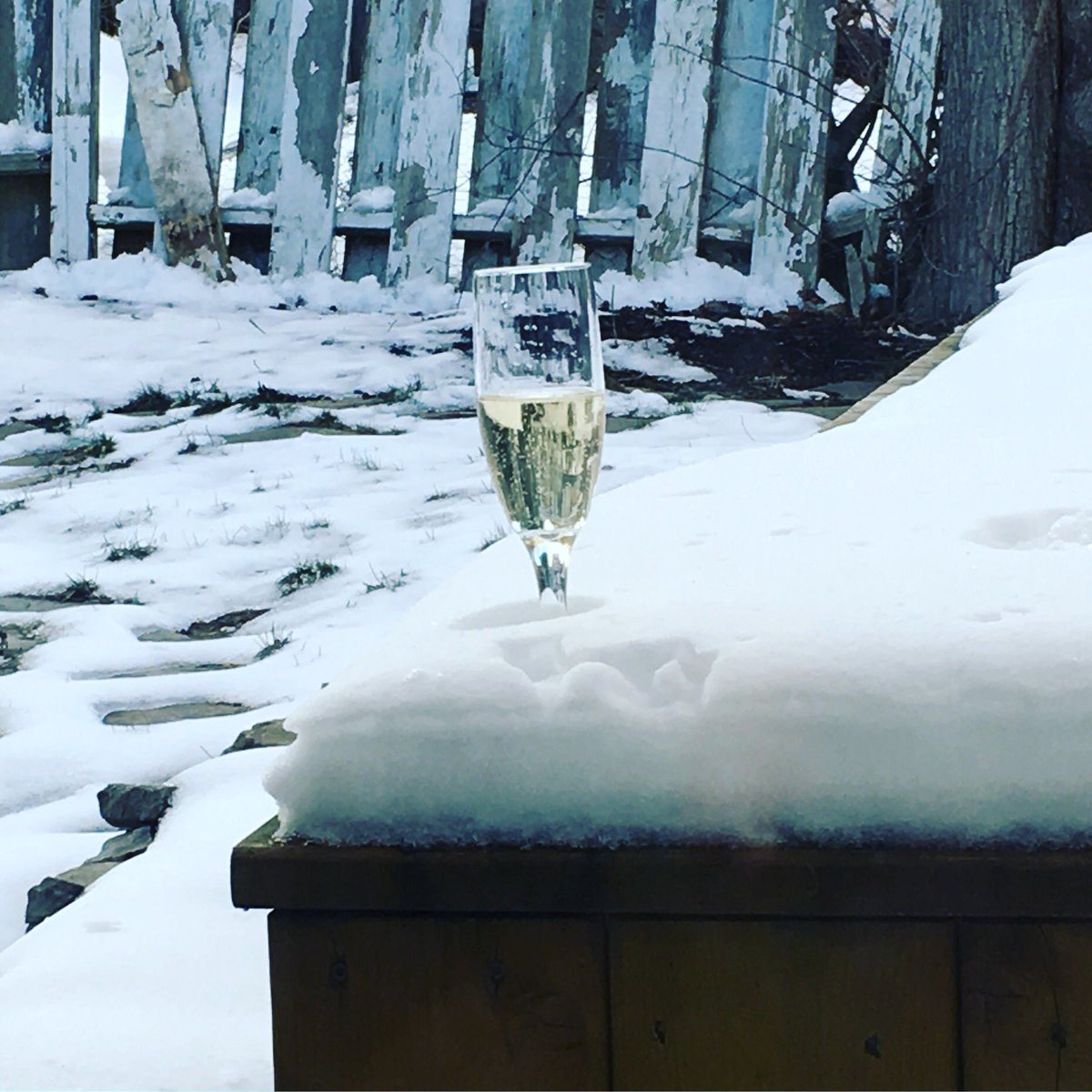 Spring BBQ with NS bubbly. Not exactly what you would imagine #nswine #nsbubbly