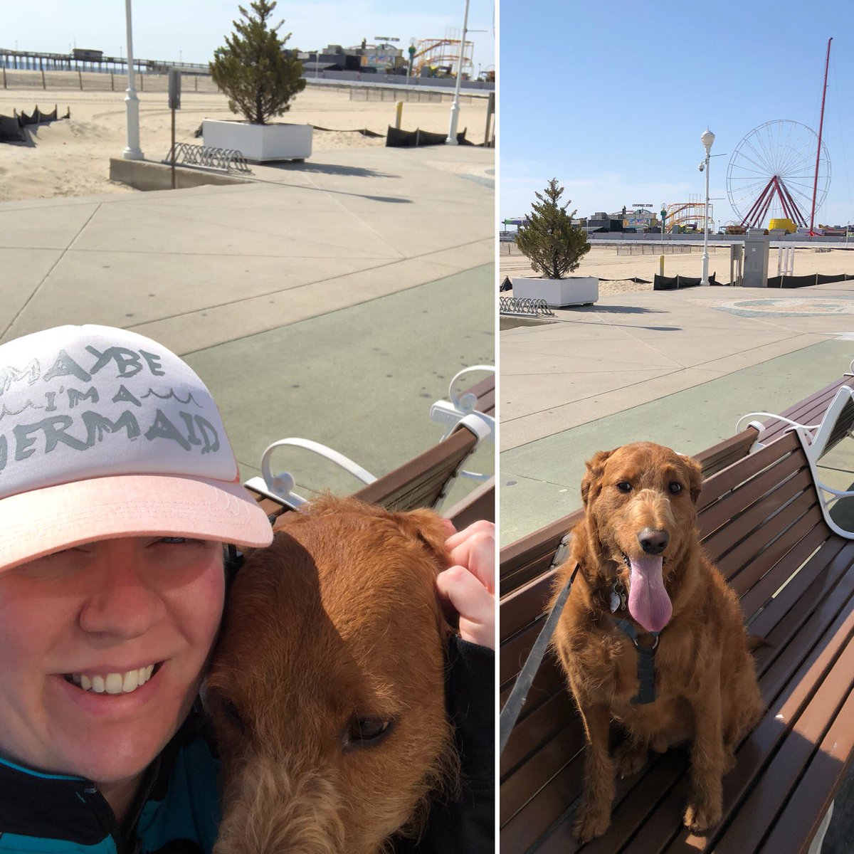RunningBlondie's tweet photo. A beautiful day with my favorite running partner! #SBYhalf #halftraining #AlgonquinBound #GoSpeedy https://t.co/HPmLB6lrO2