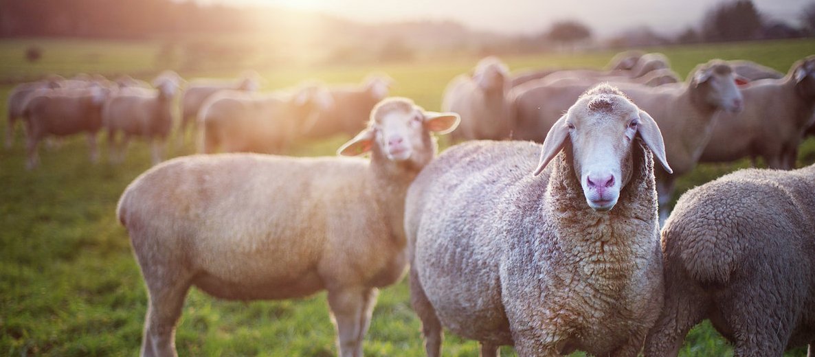 RaisingChange's tweet image. The Spring 2018 @RaisingChange #FundraisingMasterclass with @kathylemay begins April 30th. Jumpstart your fundraising leadership by applying today at raisingchange.com/apply