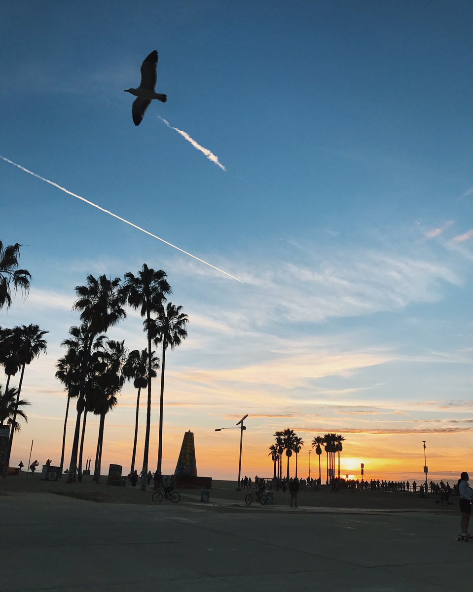 LA 🌴😩🌊🤗🕊🌞