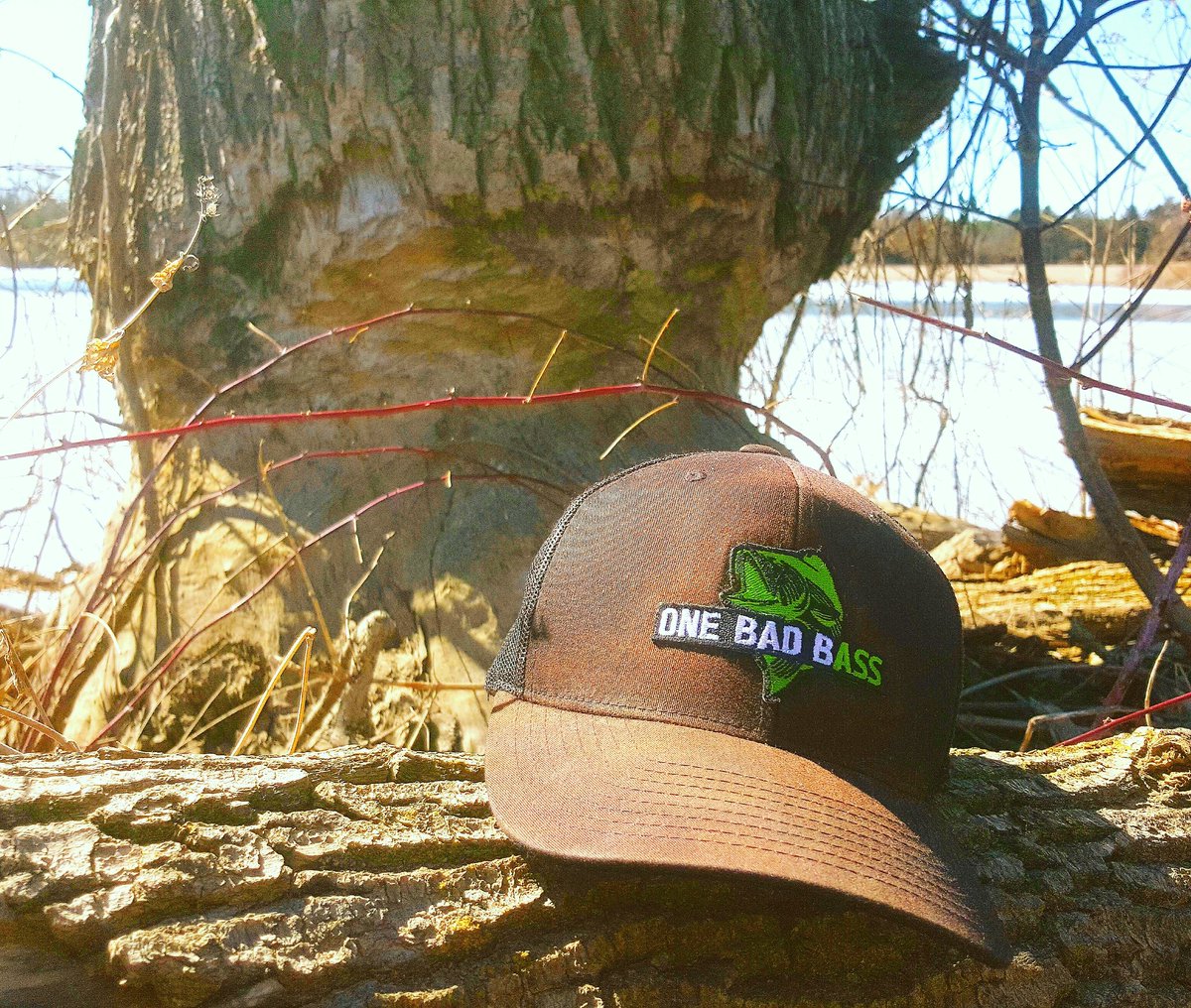 onebadbass's tweet photo. That is one ambitious beaver 💪💪
A 5 foot diameter tree trunk...
Buddy must have been HUUUUUUNGRY!
#nature #hungrybeaver #tree #outdoors #getoutthere #fishingtrip https://t.co/GbmEoE7hdF
