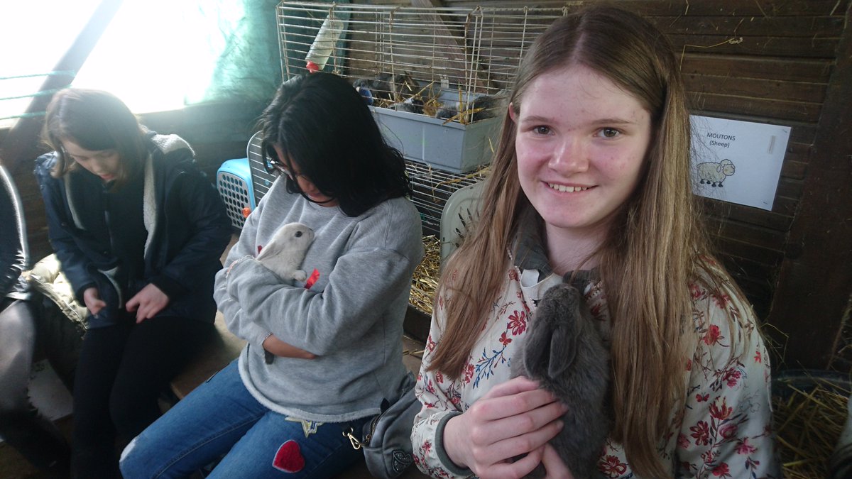 LanguagesLHS's tweet photo. La mini ferme 🐷🐣🐓🐇🐑 @LeicesterHigh  #normandytrip https://t.co/QCfzIks0VL
