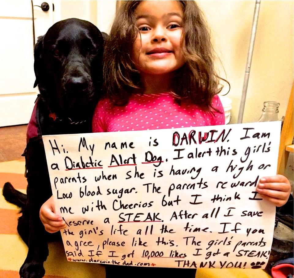 Let's help Darwin get that steak! 🥩

#NationalPetDay 🐶