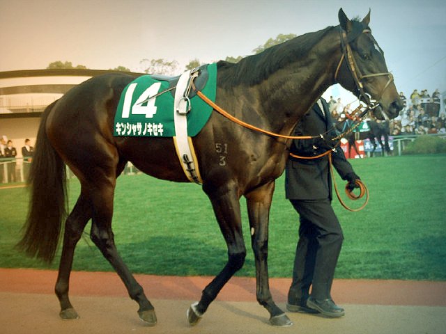 オレハマッテルゼ Twitter Search