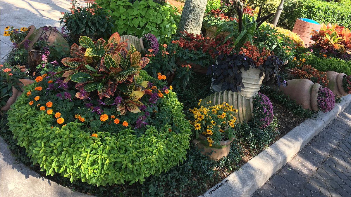 apinchofwalt's tweet photo. Nothing fishy going on in my new garden, but
 I might pinch a 'few' ideas from the folks at Seaworld Orlando😉
#SeaWorldOrlando #Gardens #SeaWorld https://t.co/ng3ybqVMtU