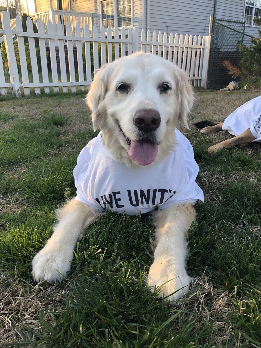 UWNashville's tweet photo. Murf wishes you a happy #nationalpetday ❤️🐶
•
•
•
#liveunited #nashville #uwnashville #powerofpartnership #dogsofinstagram #givelocal #volunteer #uwmn #dog https://t.co/ohDaqqjdfC
