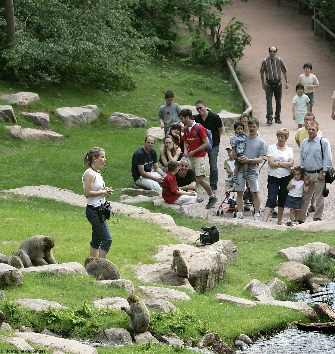 Alsace On Twitter La Célèbre Montagne Des Singes Située