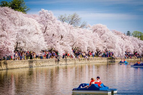 Spring might actually show up this weekend! Check in on festivals and fun near you!
bit.ly/2vb67u2