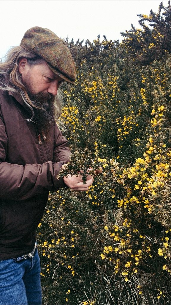 BDOverWorks's tweet photo. Turbid mash. ✅
Coolship. ✅
Spontaneous. ✅
7 yo Bobek hops. ✅
Foraged gorse. ✅
Collab with @BrueryTerreux ✅ https://t.co/3AhfCtWQko