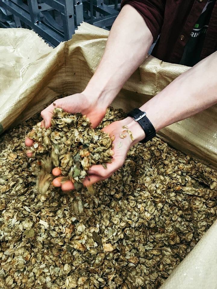 BDOverWorks's tweet photo. Turbid mash. ✅
Coolship. ✅
Spontaneous. ✅
7 yo Bobek hops. ✅
Foraged gorse. ✅
Collab with @BrueryTerreux ✅ https://t.co/3AhfCtWQko