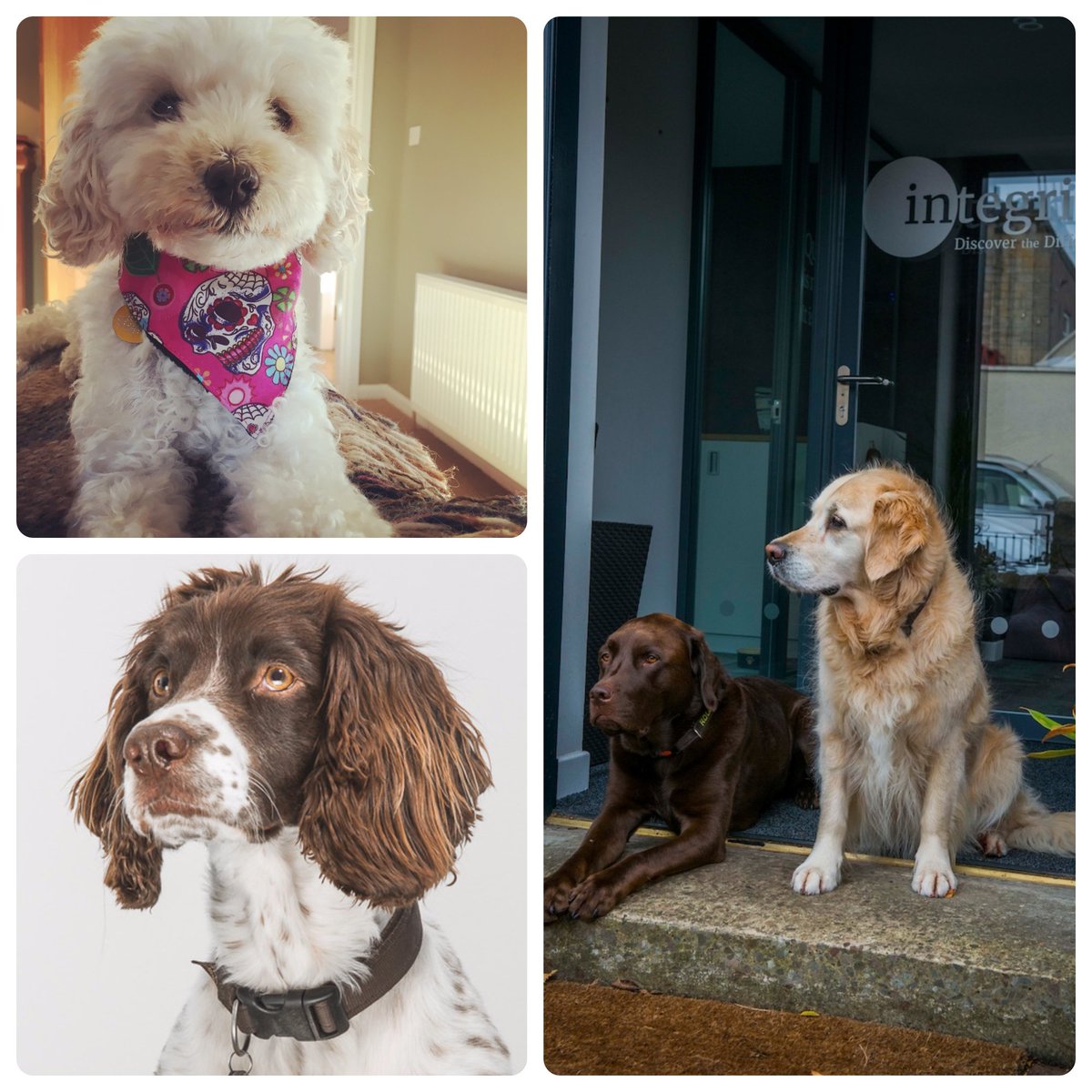 Integrity Corporate Events tweet media