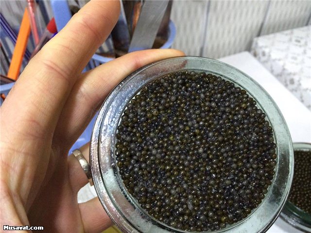 UlviyyaAli's tweet image. Some International observers / me: 
#Elections2018 #sechki2018 #azvote2018 #növbədənkənar #azelections2018 #azelections