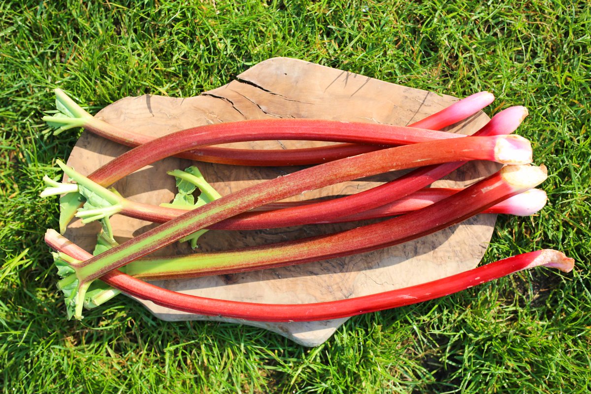 With #rhubarb back in season, its been showcased beautifully on our new #dessert menu