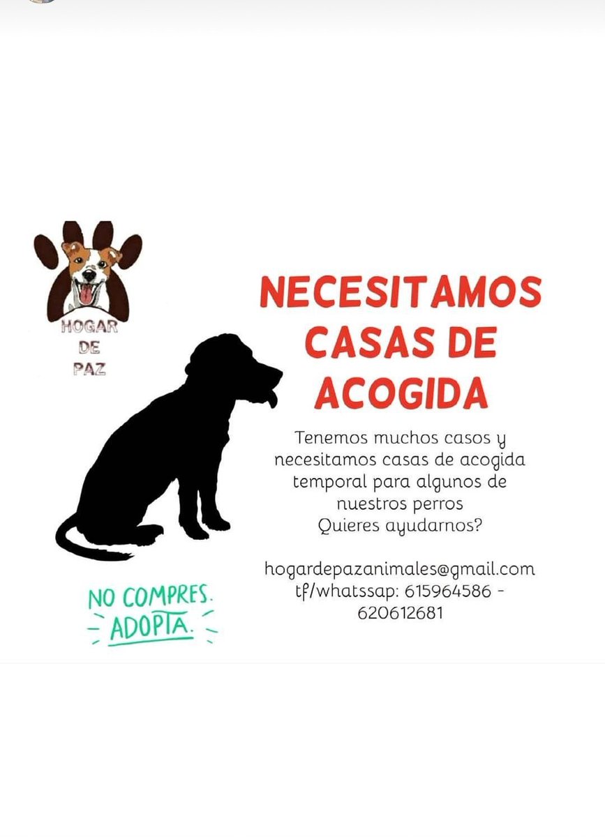 Hogar De Paz Animales Abandonados (@hogarpaz) on Twitter photo 