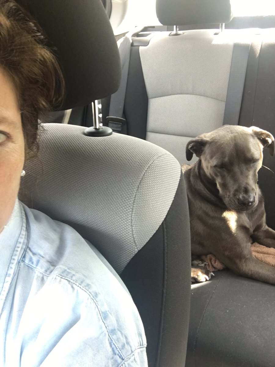 Jennifer O'Connell tweet media