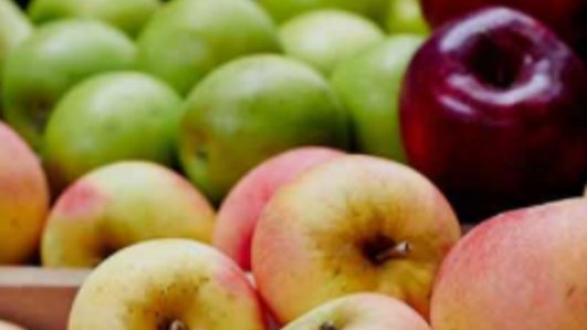 wdsu's tweet photo. ‘Dirty Dozen’ 2018: What produce has the most pesticide problems? https://t.co/L0WnIV527l https://t.co/cII8z9cKTK