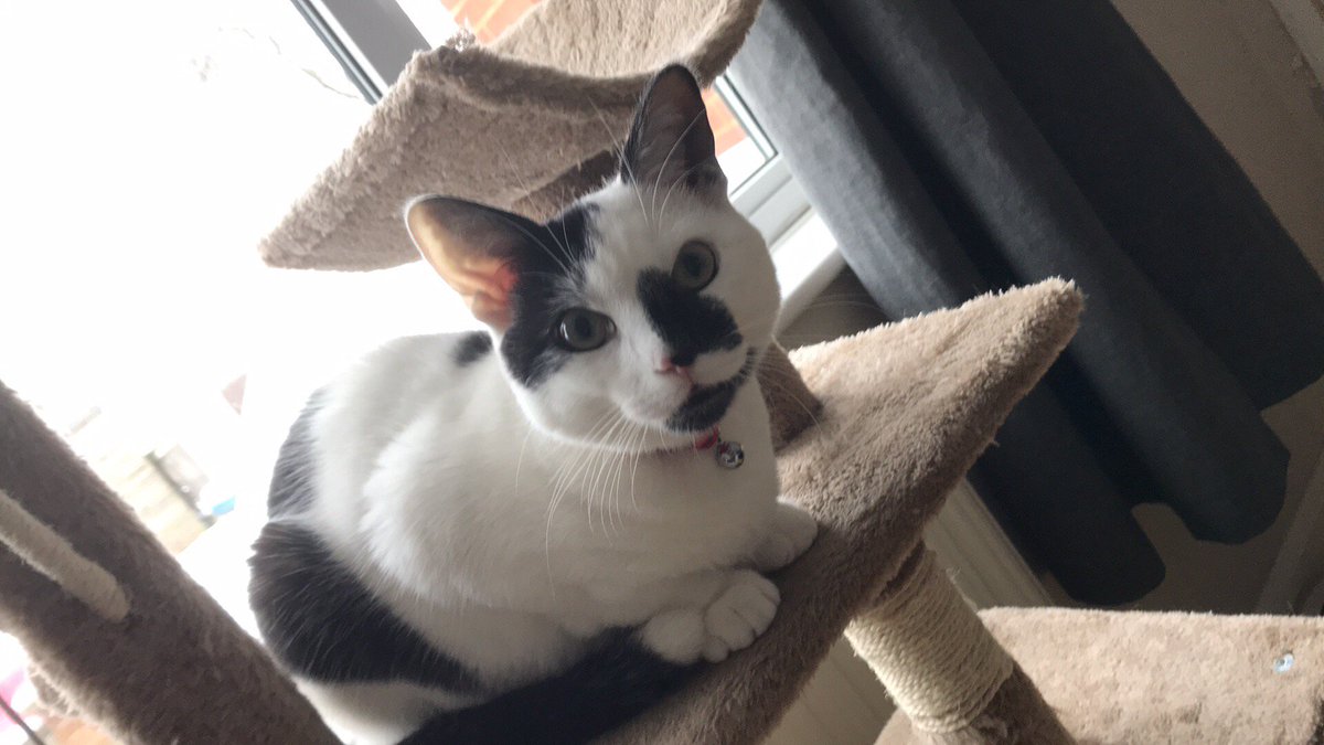 3 Way Displays tweet media