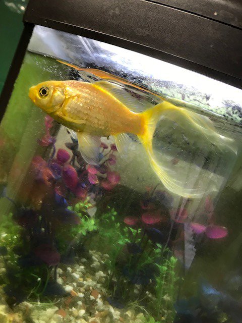 3 Way Displays tweet media