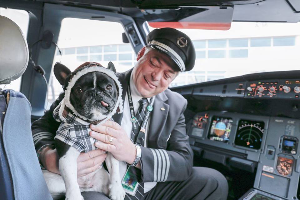 flying with dog frontier