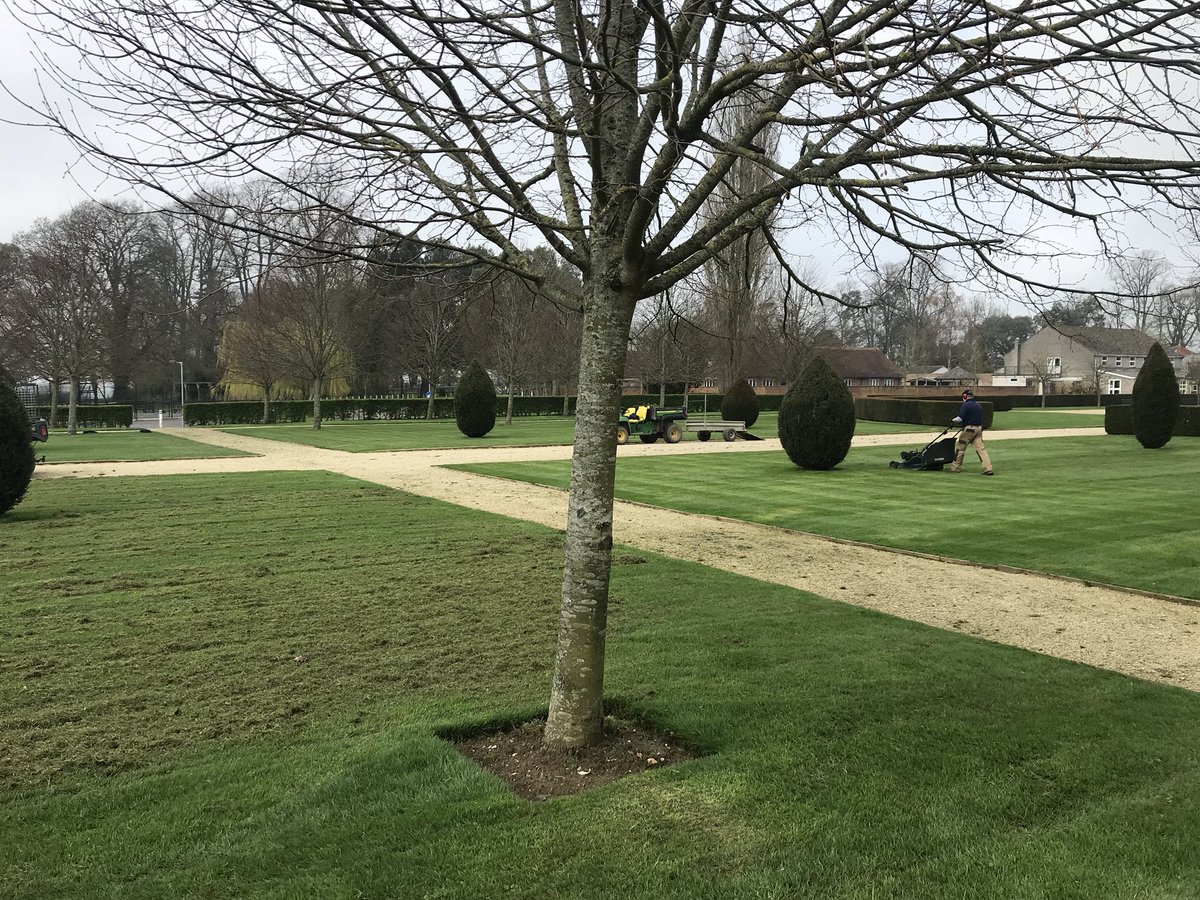 kitts81's tweet image. Still a bit sticky but at least we could get out and do a bit. #cleanitout